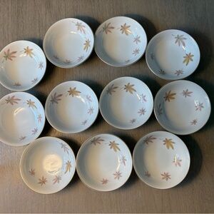 Elegant Floral Patterned set 11 Dinner bowls.